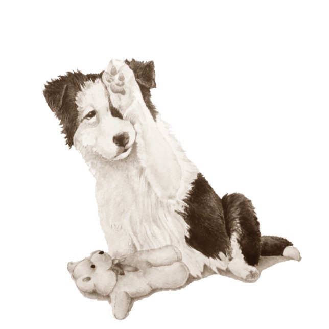 schilderij van een hond van een schattige colliaan horloge (Creator heeft geüpload)