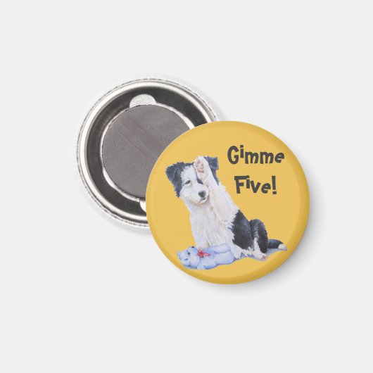 schilderij van een hond van een schattige colliaan magneet (Voorkant / Achterkant)