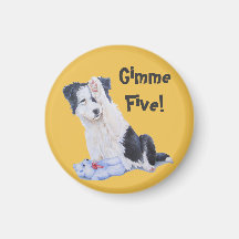 schilderij van een hond van een schattige colliaan