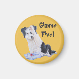 schilderij van een hond van een schattige colliaan magneet