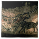 Schilderij van een hoornd dier, c.17000 BC (grot) Tegeltje (Voorkant)