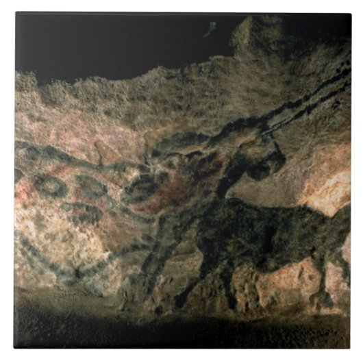 Schilderij van een hoornd dier, c.17000 BC (grot) Tegeltje (Voorkant)