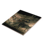 Schilderij van een hoornd dier, c.17000 BC (grot) Tegeltje (Zijkant)