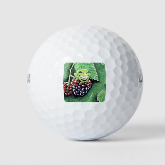 Schilderij van een kleine boomkikker op een braam golfballen (Voorkant)
