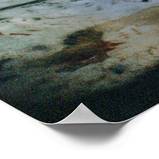 Schilderij van een stier met lange horens poster (Hoek)