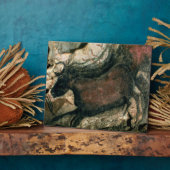 Schilderij van een zwarte stier, c.17000 BC (grot  Fotoplaat (Zijkant)