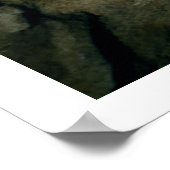 Schilderij van een zwarte stier, c.17000 BC (grot  Poster (Hoek)