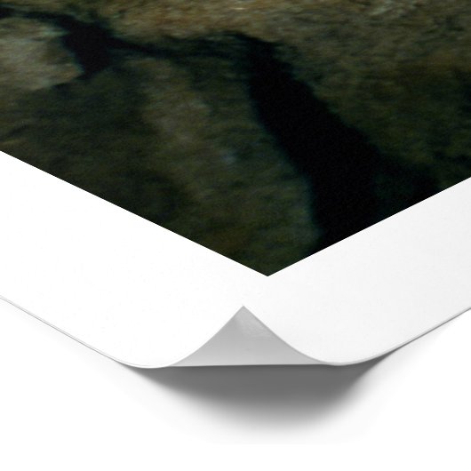 Schilderij van een zwarte stier, c.17000 BC (grot  Poster (Hoek)