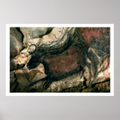 Schilderij van een zwarte stier, c.17000 BC (grot  Poster (Voorkant)