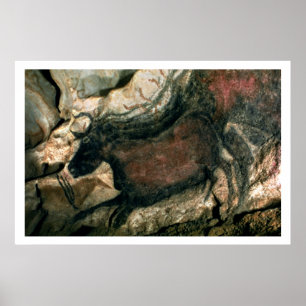 Schilderij van een zwarte stier, c.17000 BC (grot Poster