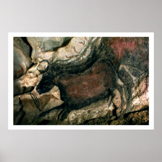 Schilderij van een zwarte stier, c.17000 BC (grot  Poster (Voorkant)