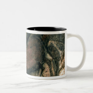 Schilderij van een zwarte stier, c.17000 BC (grot Tweekleurige Koffiemok