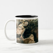 Schilderij van een zwarte stier, c.17000 BC (grot  Tweekleurige Koffiemok (Links)