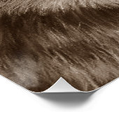 schilderij van grijze wolf poster (Hoek)