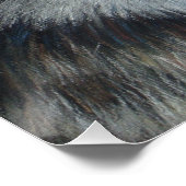 schilderij van grijze wolf poster (Hoek)