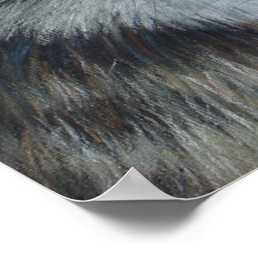 schilderij van grijze wolf poster (Hoek)