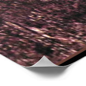 Schilderij van Gustav Klimt, Dame met bontmuts en Poster (Hoek)