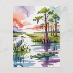 Schilderij van het Everglades National Park Briefkaart