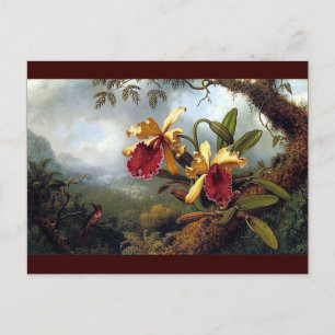 schilderij van Hummingbird Orchids Briefkaart