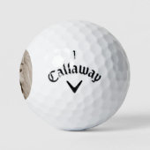 schilderij van leeuwen die grote katten kweken golfballen (Logo)