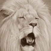 schilderij van leeuwen die grote katten kweken stenen onderzetter