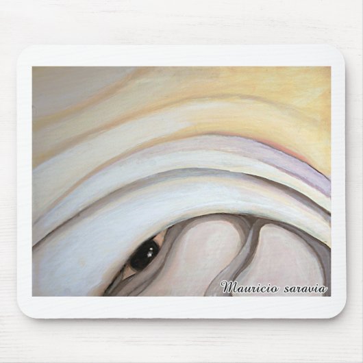 schilderij van Mauricio Saravia Muismat (Voorkant)