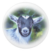 Schilderij van mijn Pygmee Geit Savannah Keramische Knop (Voorkant)