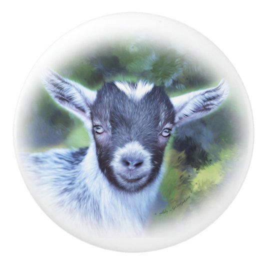 Schilderij van mijn Pygmee Geit Savannah Keramische Knop (Voorkant)