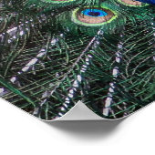 Schilderij van Peacock die zijn veren verspreidt Poster (Hoek)