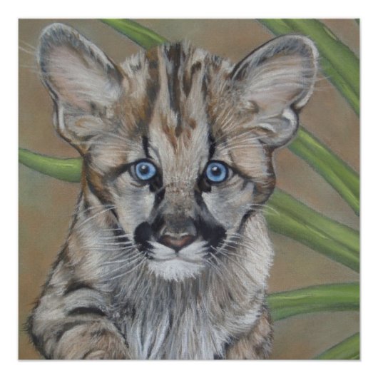 schilderij van schattig cougar kitten big cat wild perfect poster (Voorkant)