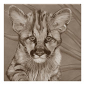 schilderij van schattig cougar kitten big cat wild poster (Voorkant)