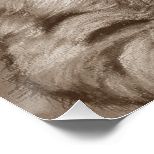 schilderij van schattig cougar kitten big cat wild poster (Hoek)