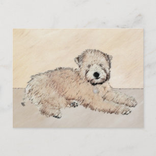 Schilderij van Soft Coated Wheaten Terrier Origine Briefkaart