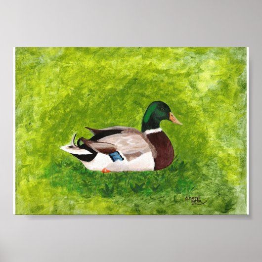 Schilderij van wilde eend zittend in gras Posters (Voorkant)