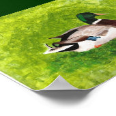 Schilderij van wilde eend zittend in gras Posters (Hoek)
