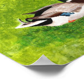 Schilderij van wilde eend zittend in gras Posters (Hoek)