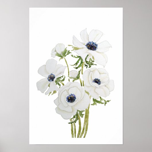 schilderij van witte anemonbloem waterverf poster (Voorkant)