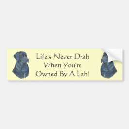 schilderij van zwarte labrador dog bumpersticker