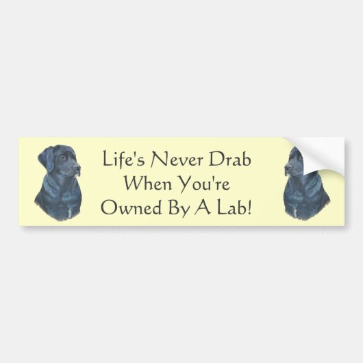 schilderij van zwarte labrador dog bumpersticker (Voorkant)