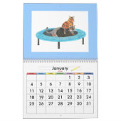 Schilderijen Kunstwerk van de Kalender van Katten  (Jan 2026)