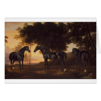 schilderijen van de Zwarte Stallions door George