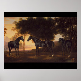  schilderijen van de Zwarte Stallions door George  Poster
