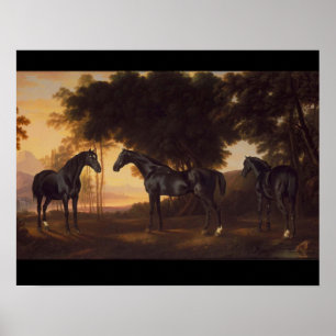  schilderijen van de Zwarte Stallions door George  Poster