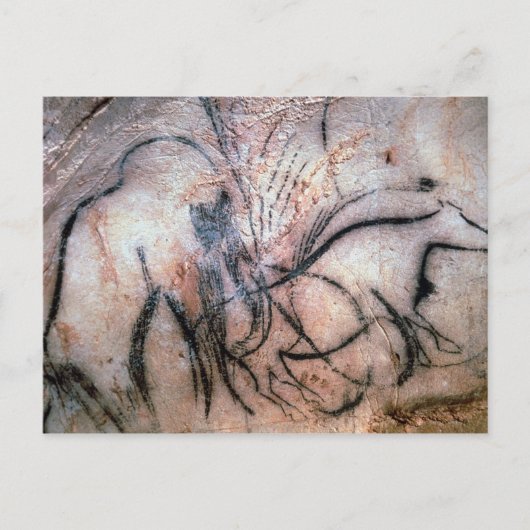 schilderijen voor het schilderen van zoogdieren en briefkaart (Voorkant)