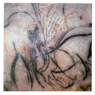 schilderijen voor het schilderen van zoogdieren en tegeltje