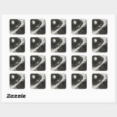 Schilderijen voor Ruimteliefhebbers Vierkante Sticker (Vel)