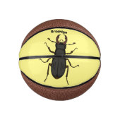 Schildering van keverinsecten basketbal (Voorkant)