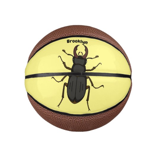 Schildering van keverinsecten basketbal (Voorkant)