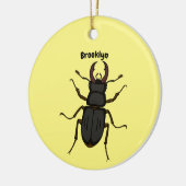 Schildering van keverinsecten keramisch ornament (Links)