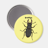 Schildering van keverinsecten magneet (Voorkant / Achterkant)
